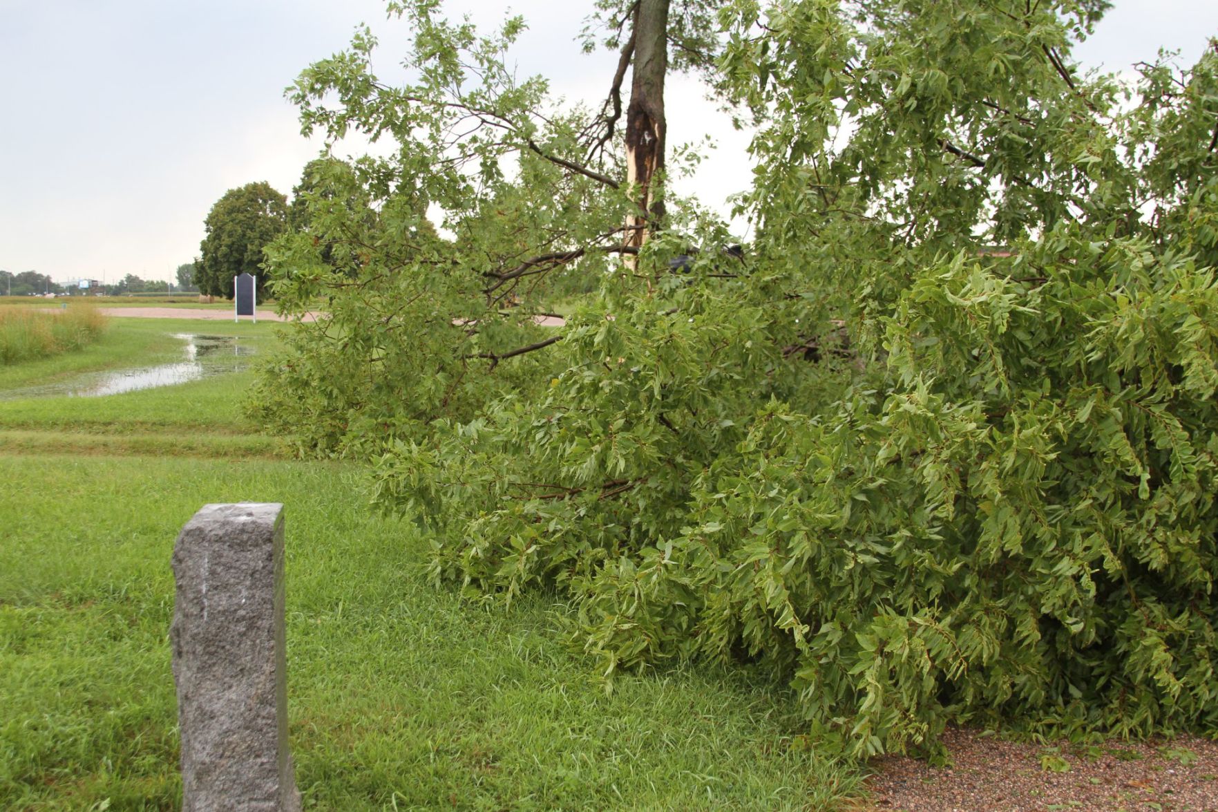 Sthur Museum Damage